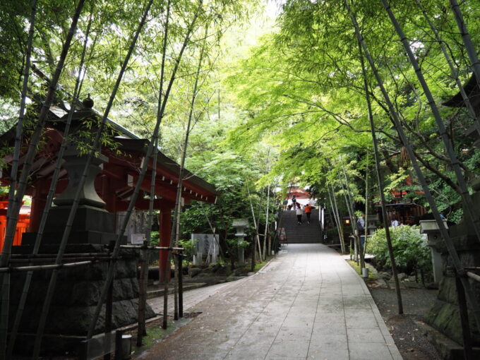 5月末雨上がりの熱海來宮神社竹の緑が美しい参道