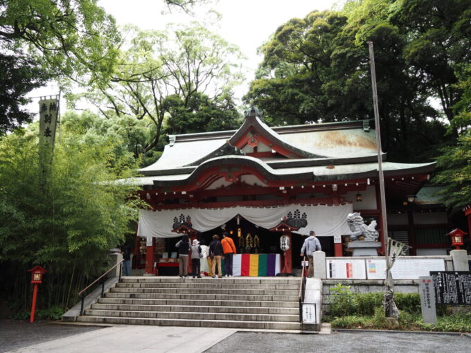 5月末雨上がりの熱海來宮神社深い緑のなか佇む朱塗りが印象的な本殿