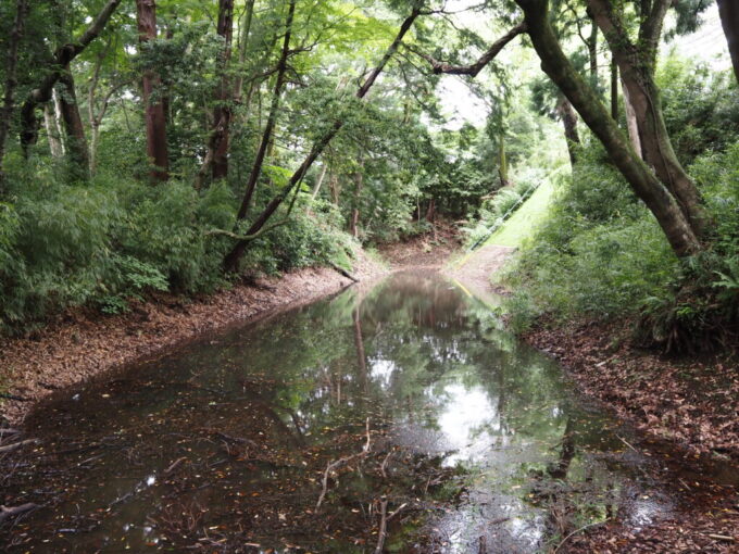 5月末曇天の小田原城址公園報徳二宮神社入口に残る戦国時代の空堀と土塁の跡