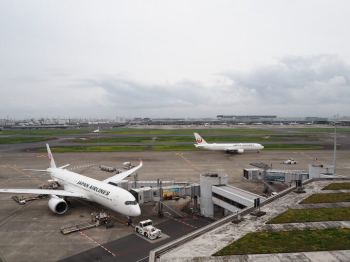 6月中旬曇天の羽田空港第1ターミナルビル展望デッキから望むJALと国際線第3ターミナル