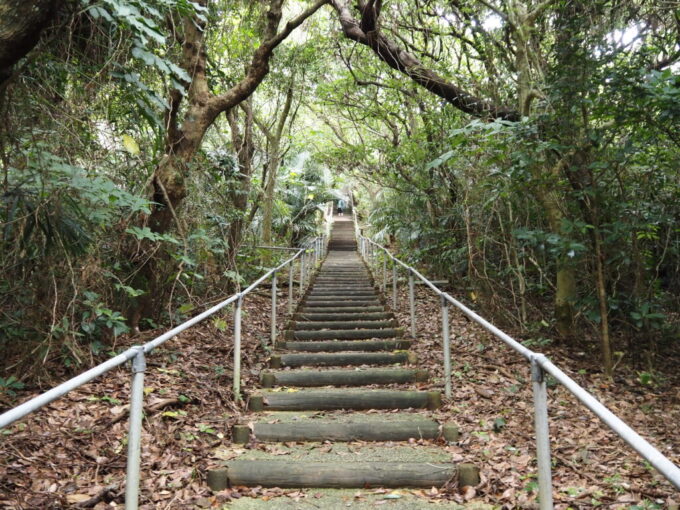 6月中旬梅雨明け後の八重山小浜島大岳へと登る階段続きの登山道