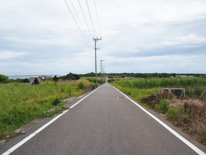 6月中旬梅雨明け後の八重山小浜島一直線にのびるシュガーロード