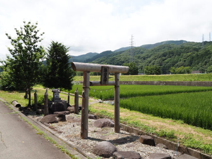 7月上旬信州茅野宮川沿いの田園に佇む諏訪大神のお社を囲む4本の御柱