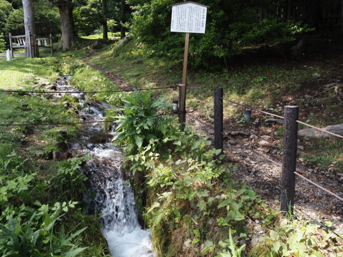 7月上旬信州茅野諏訪大社上社前宮神域を流れる御手洗川であり御神水でもあるという水眼の清流