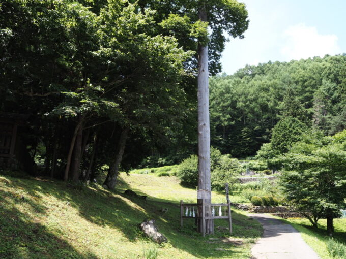 7月上旬信州茅野諏訪大社上社前宮本殿の右手前に建てられた一之御柱