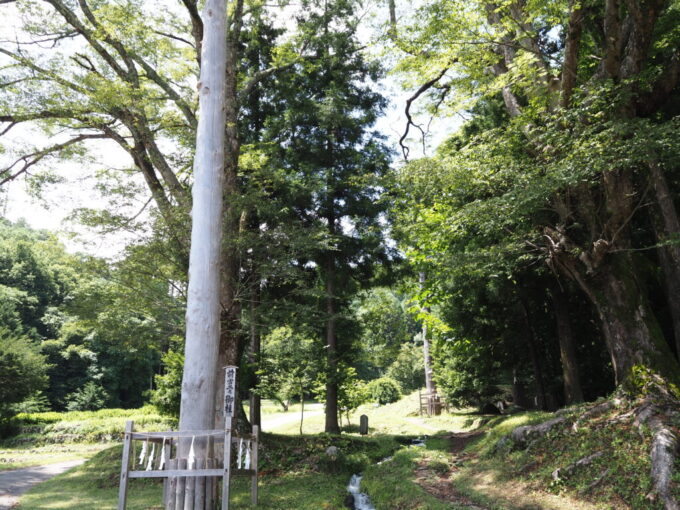 7月上旬信州茅野諏訪大社上社前宮二之御柱