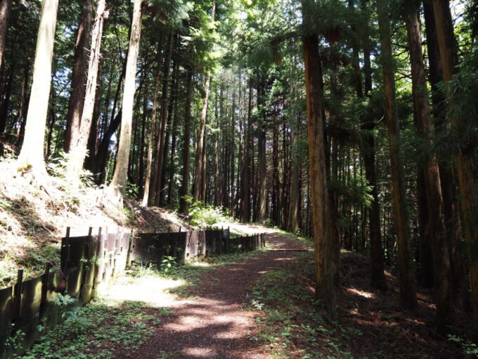 7月上旬信州茅野諏訪大社上社前宮から本宮へと歩く鎌倉道遊歩道
