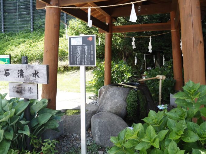 7月上旬信州茅野諏訪大社上社前宮から本宮へ国道沿いに湧く石清水