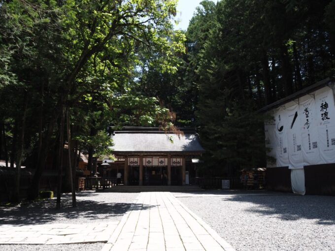 7月上旬信州茅野諏訪大社本宮豊かな緑に包まれた参拝所