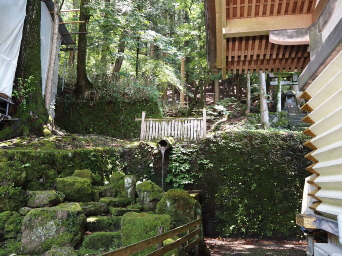 7月上旬信州茅野諏訪大社本宮山から流れ来る水と苔むした石の奥に見える四之御柱