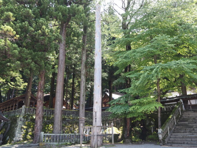 7月上旬信州茅野諏訪大社本宮一之御柱