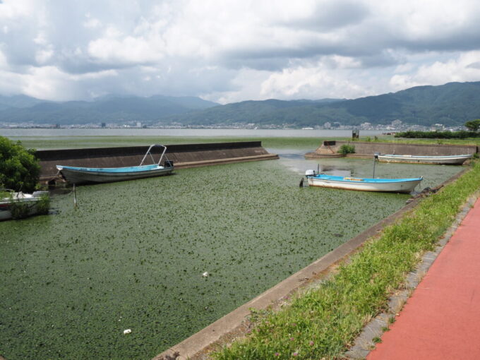 7月上旬信州諏訪湖湖畔に設けられた漁港