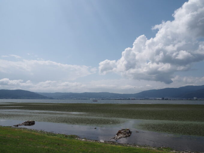 7月上旬信州諏訪湖を行く水陸両用バス諏訪湖ダックツアーを湖岸から遠望する