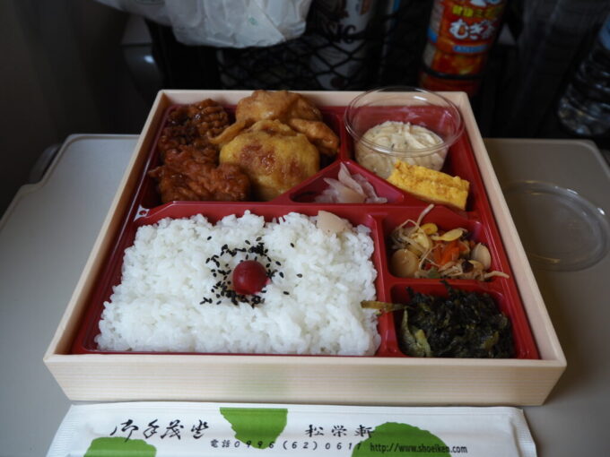 8月上旬東北新幹線E5系はやぶさ号新青森行き車内の愉しみ駅弁出水駅松栄軒宮崎チキン南蛮弁当W中身