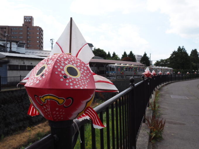 8月上旬夏の弘前土淵川沿いに飾られた金魚ねぷた