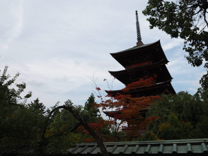 8月上旬夏の弘前東北一の美塔と称される最勝院の五重塔