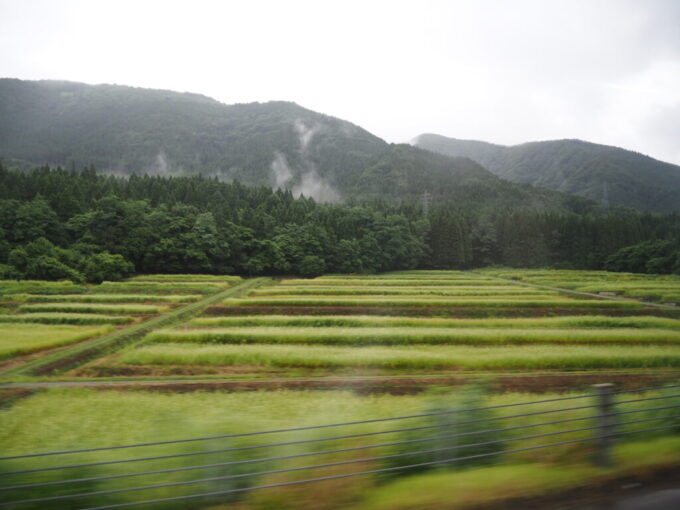 8月上旬夏の北東北高速道を走る岩手県北バスみちのく号から眺める花を咲かせるそば畑