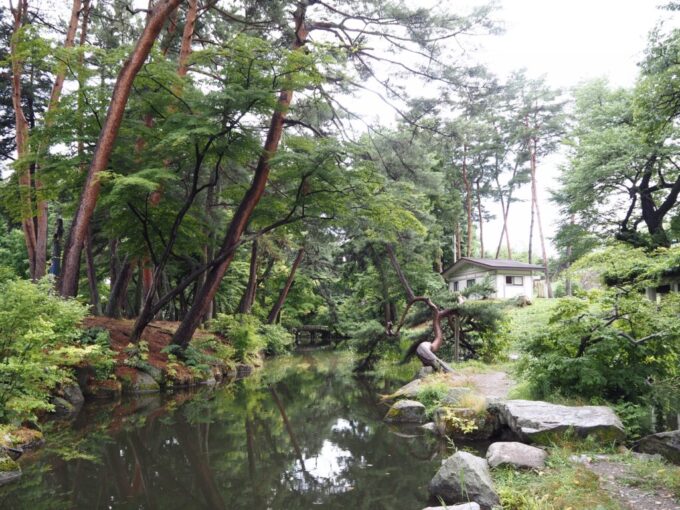 8月上旬夏の北東北盛岡城内堀跡の鶴ヶ池