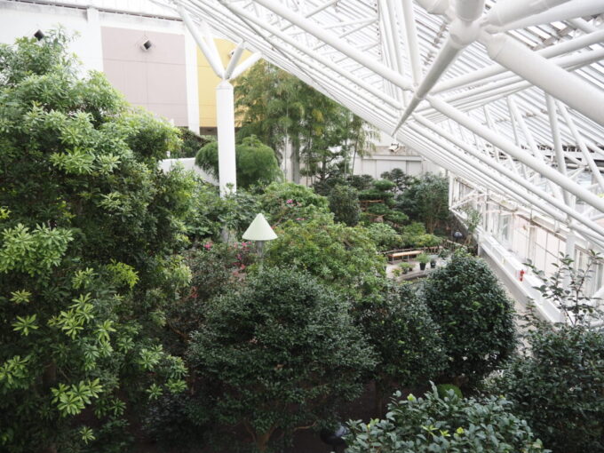 8月下旬涼しい苫小牧出光カルチャーパーク苫小牧で見ることのできない植物の植えられたサンガーデン