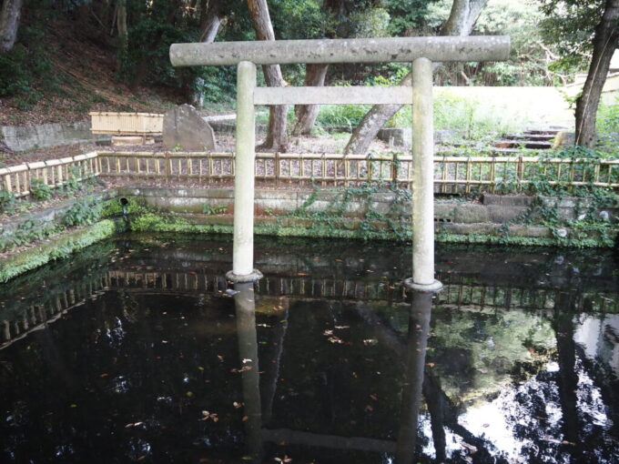 8月下旬猛暑の茨城大洗磯前神社目晒しの井があった場所に位置する神池には今なお湧水が流れ込む