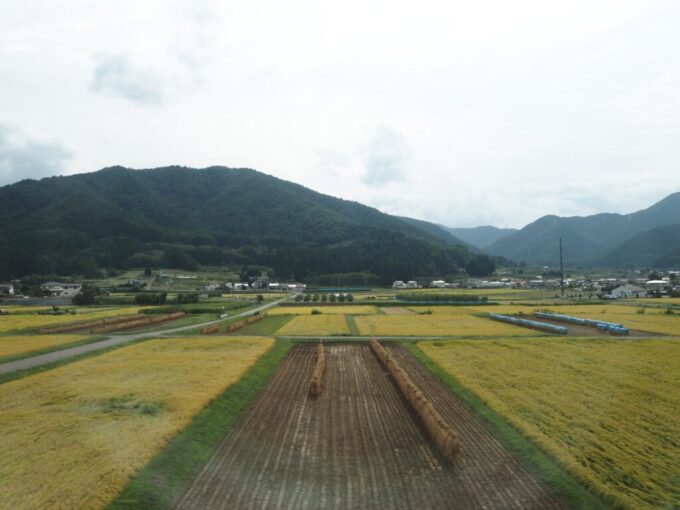 9月下旬E353系中央本線特別急行あずさ号車窓を染める黄金色に染まる田んぼと刈り取られて干される稲