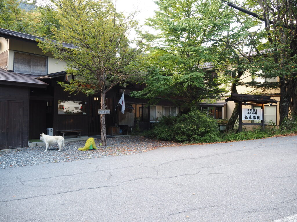 9月下旬涼やかな信州白骨温泉かつらの湯丸永旅館