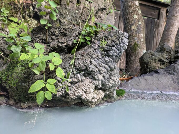 9月下旬涼やかな信州白骨温泉かつらの湯丸永旅館露天風呂に野性味を添える石灰岩