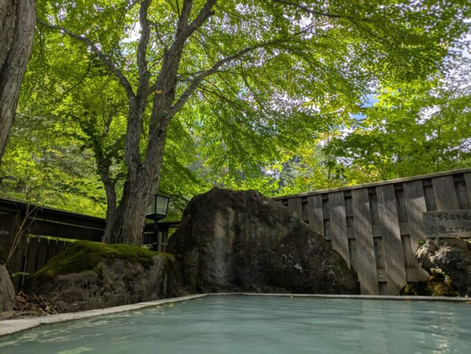 9月下旬涼やかな信州白骨温泉かつらの湯丸永旅館午前の青空に透かされレースのようなうつくしさを魅せる露天風呂を覆う桂の葉