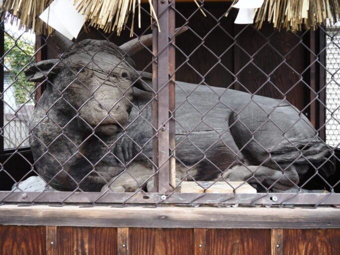 9月下旬涼やかな信州松本深志神社珍しい木彫りの神牛