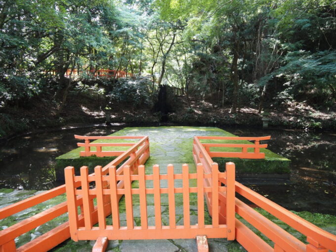 10月下旬秋晴れの宇佐神宮苔と水音が荘厳な祓所