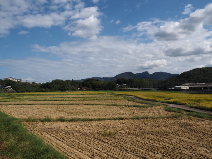 10月下旬秋晴れの宇佐神宮から歩いて向かう帰り道、秋晴れの青空と秋の田園が郷愁を誘う。