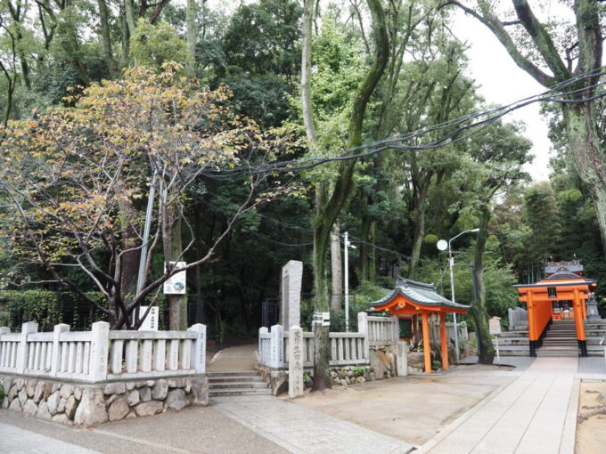 10月下旬16年ぶりの神戸生田神社の奥に広がる生田の森