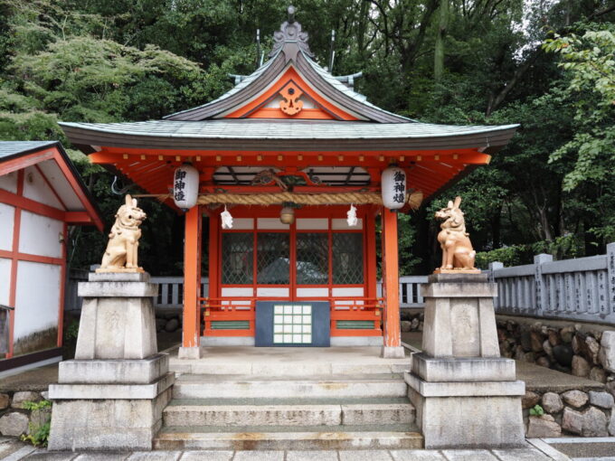 10月下旬16年ぶりの神戸生田神社蛭子神社の耳の長い独特な狛犬