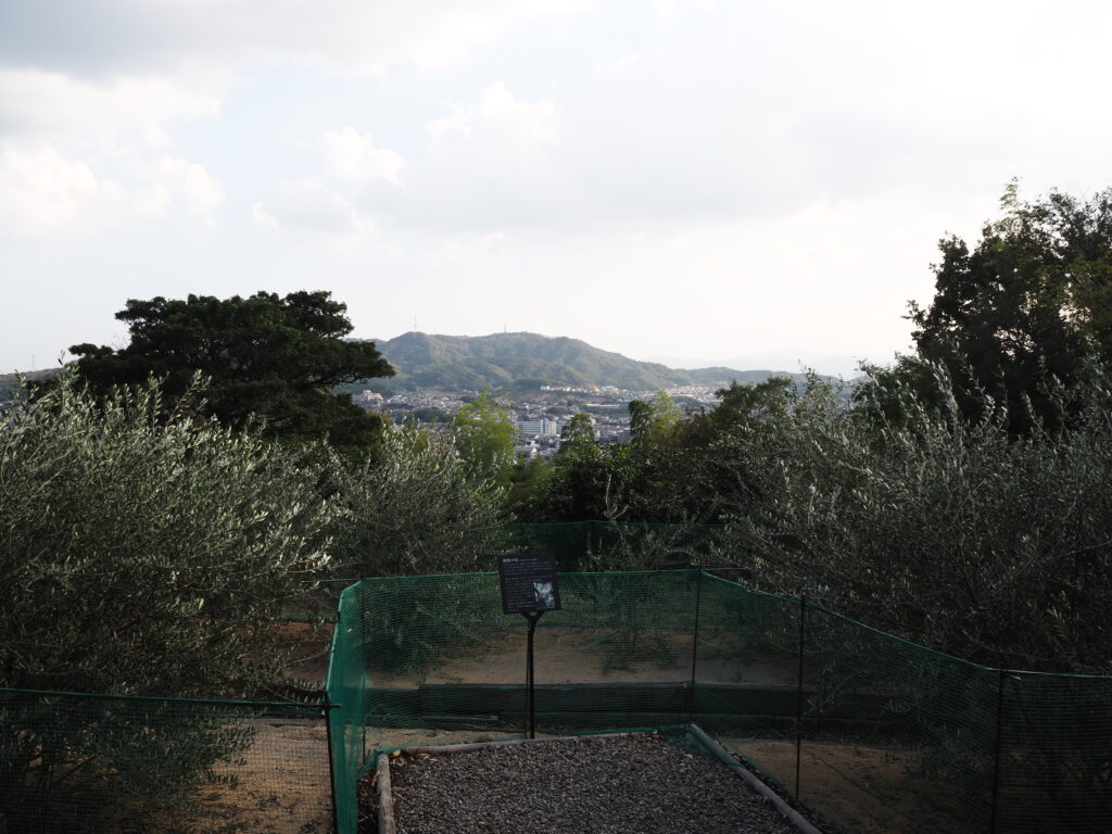 10月下旬初めての屋島四国村ミウゼアムから望む小さなオリーブ林と香川の長閑な情景