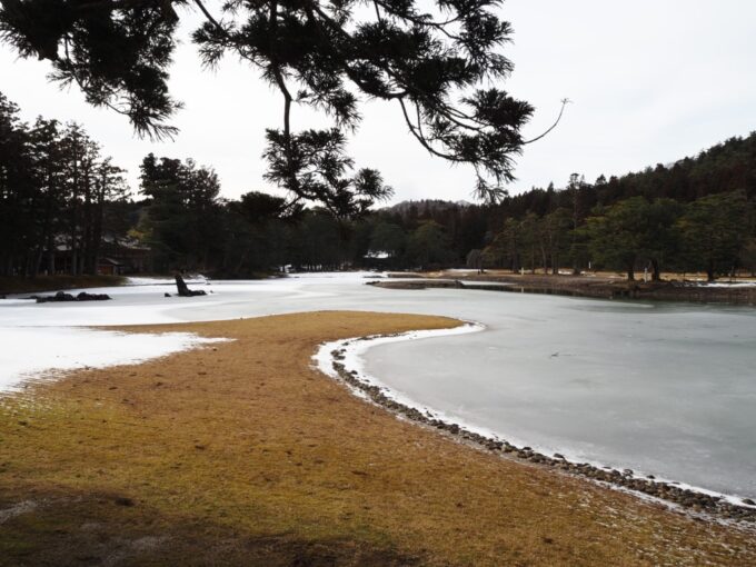 2月上旬冬の平泉毛越寺浄土庭園曲線美に彩られた洲浜