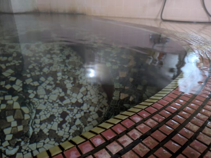 2月上旬冬の花巻台温泉松田屋旅館清らかでなめらかな湯がレトロなタイルを流れてゆく万寿の湯