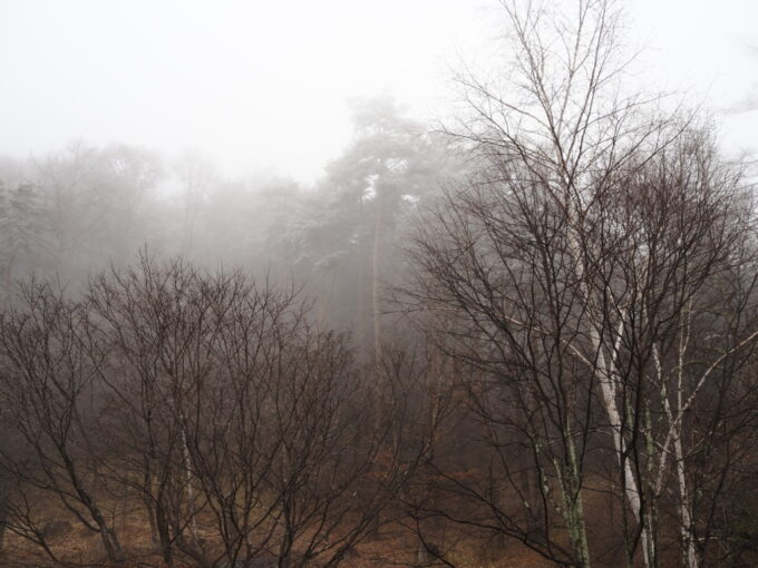 3月上旬浅間山登山口天狗温泉浅間山荘昨日までの晴天とは一変し霧の立ち込める冬を思わせる情景に