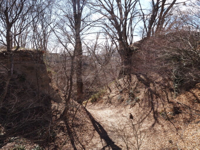 3月上旬初めての小諸小諸城址懐古園人の手で造られた掘割の紅葉谷