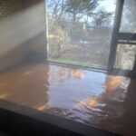 3月上旬浅間山登山口天狗温泉浅間山荘野菜ジュースのような色をした濃厚な単純鉄冷鉱泉