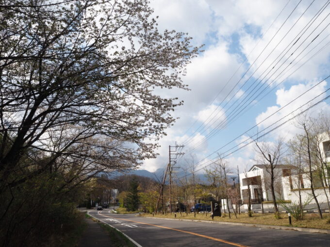 4月中旬那須街道に咲く桜越しに望む那須岳茶臼岳