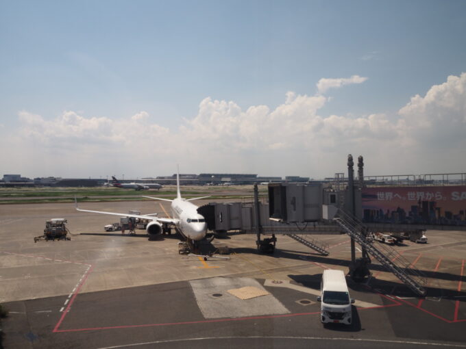 5月中旬羽田空港第1ターミナルに駐機する長崎空港行きJALB737型機
