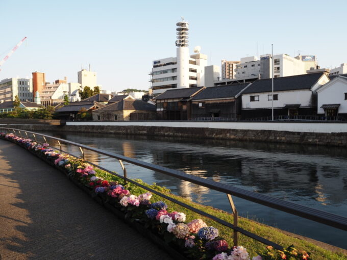 5月中旬26年ぶりの長崎色とりどりのあじさい越しに眺める出島