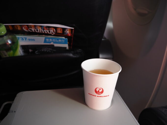 6月上旬いつもより半月早い八重山旅うちなーの翼JTA南ぬ島石垣空港行きB737型機空の旅のお供に味わうJALビーフコンソメ