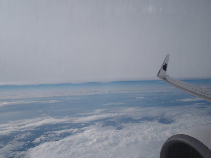 6月上旬いつもより半月早い八重山旅うちなーの翼JTA南ぬ島石垣空港行きB737型機ウィングレットに描かれたアマミノクロウサギ
