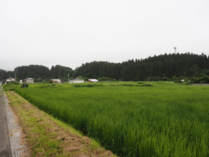 8月上旬夏の東北旅上北町ののどかな田園風景