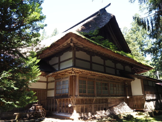 8月上旬夏の東北旅弘前岩木山神社社務所羊歯が生え自然と融合する茅葺屋根