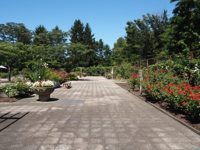 8月上旬夏の東北旅弘前城植物園生垣見本園・バラ園