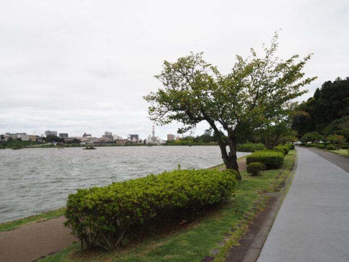 8月末日水戸市街地に位置するとは思えぬ千波湖の自然豊かな情景