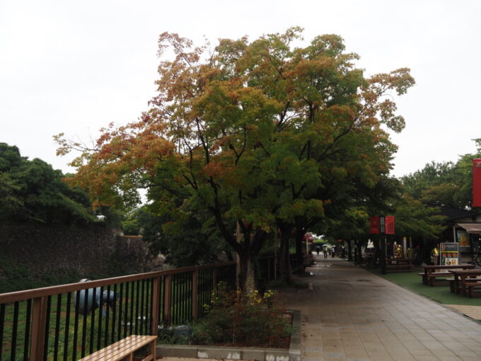 9月上旬雨の名古屋城秋の気配を感じさせるほんのり色づいた紅葉と空堀